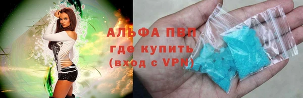 гашик Новокубанск