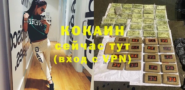 гашик Новокубанск