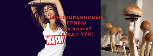 гашик Новокубанск