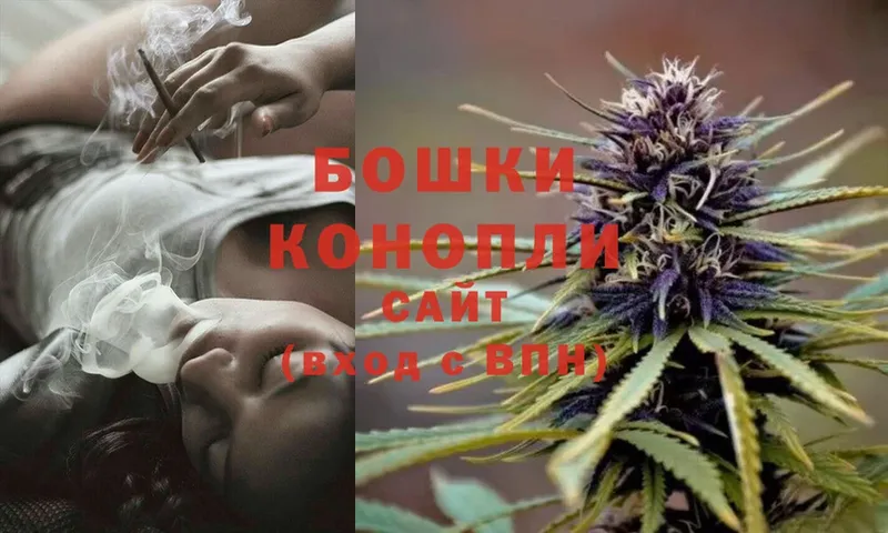 МАРИХУАНА SATIVA & INDICA  Оса 